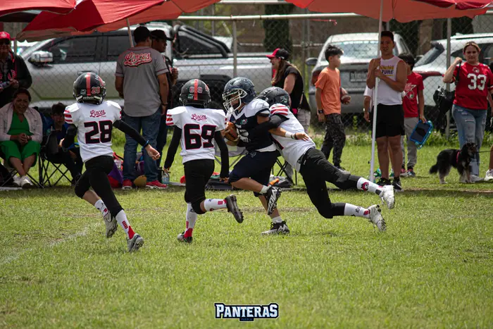 FBA Infantil